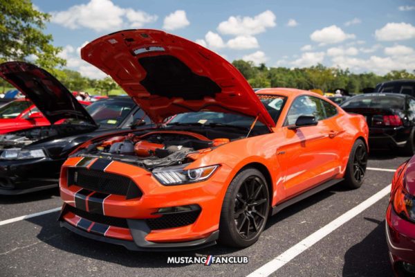 mustang week 2016 mw16 mustangfanclub mustang fan club meet and greet shelby gt350 competition orange
