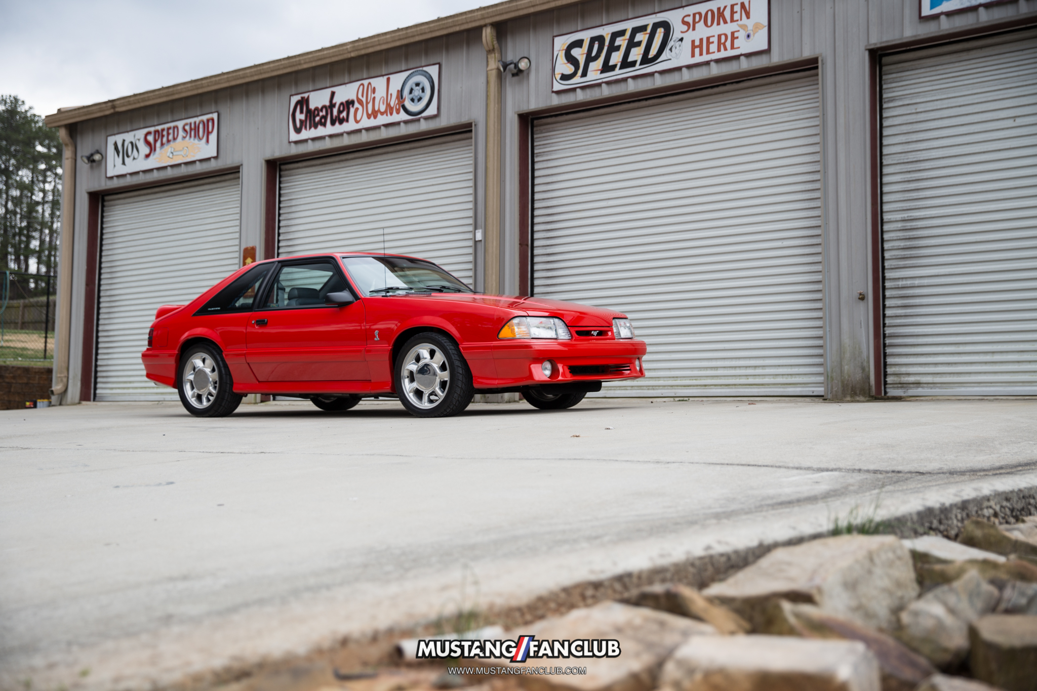 5.0 5.0L 93 cobra r cobrar mo's speed shop dallas ga georgia mustang mustangfanclub mustang fan club foxbody paxton supercharger supercharged low mileage