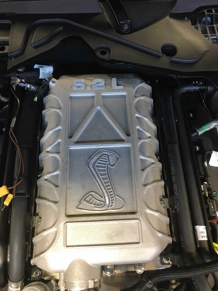 shelby gt500 5.2L supercharger