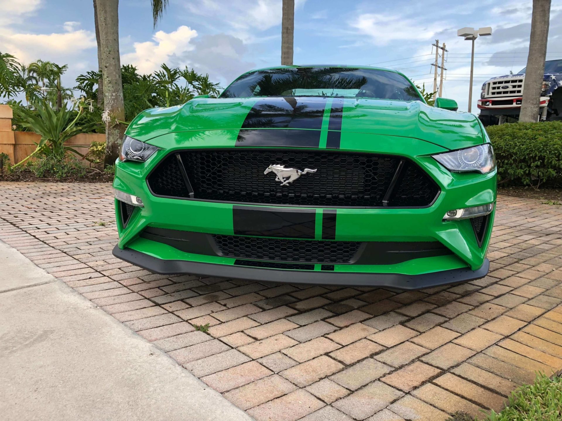2019 Mustang GT Need for Green