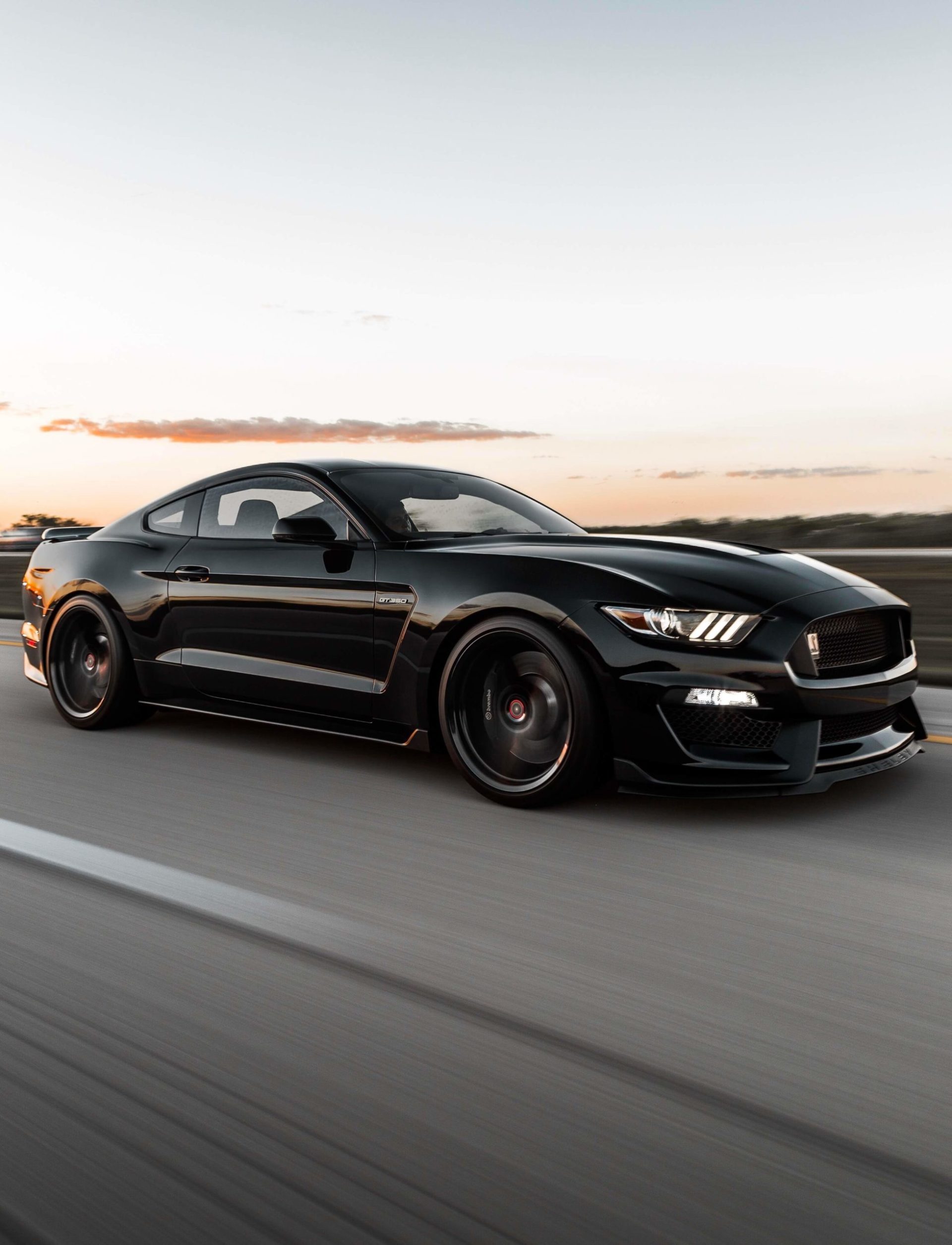 shelby GT350