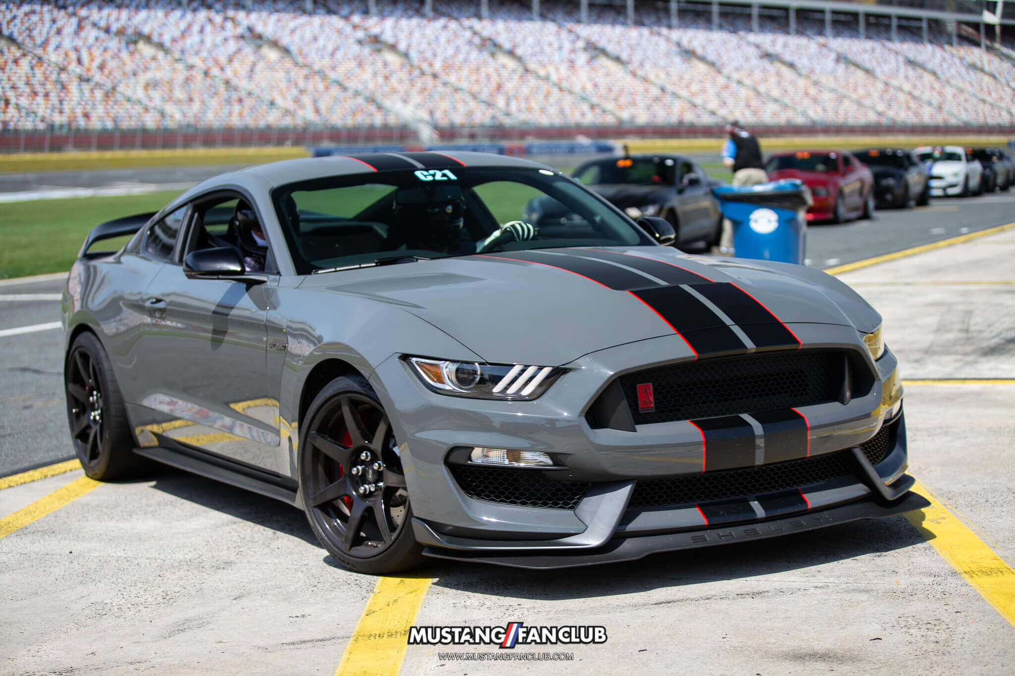leadfoot grey shelby gt350