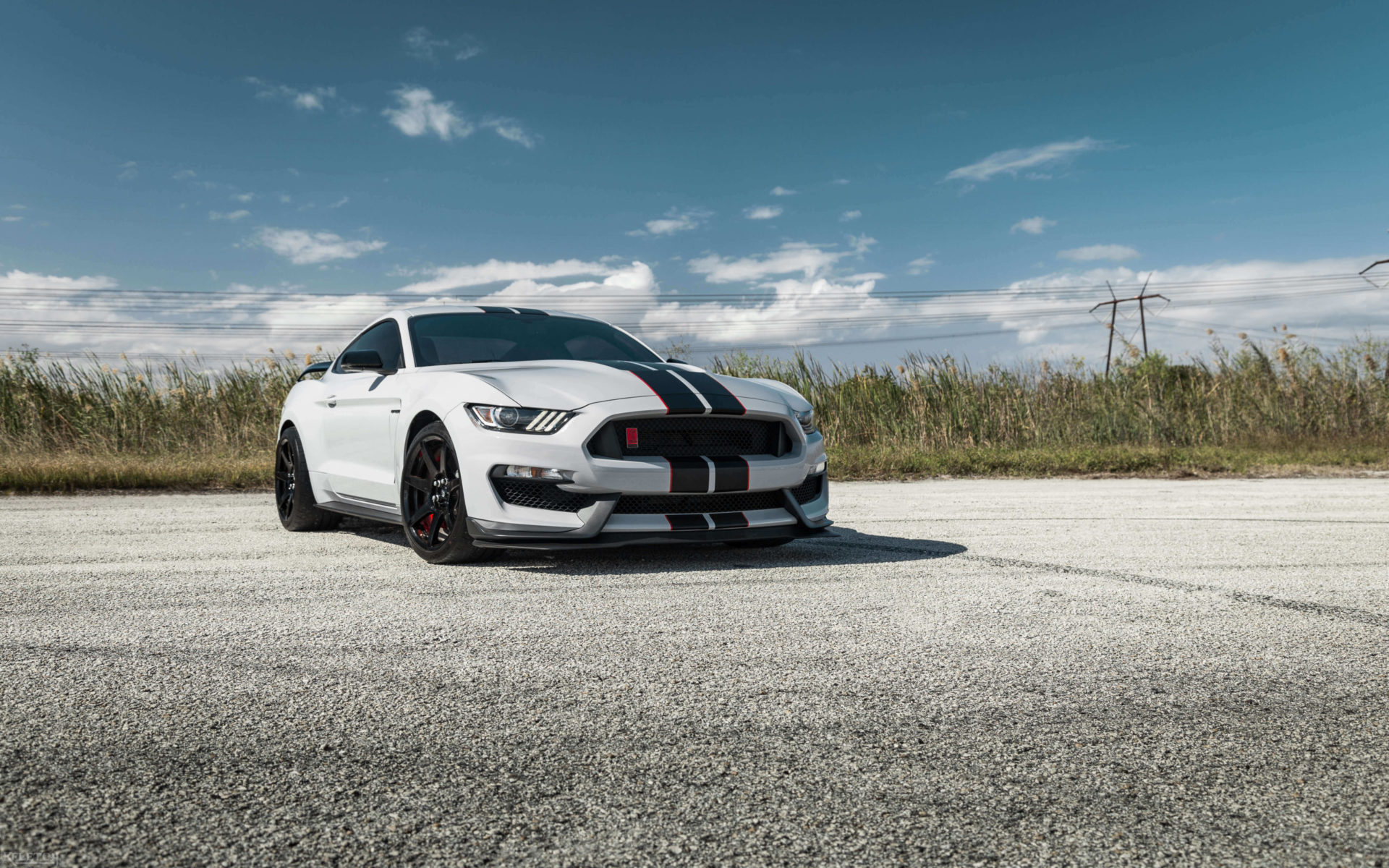avalanche grey shelby gt350