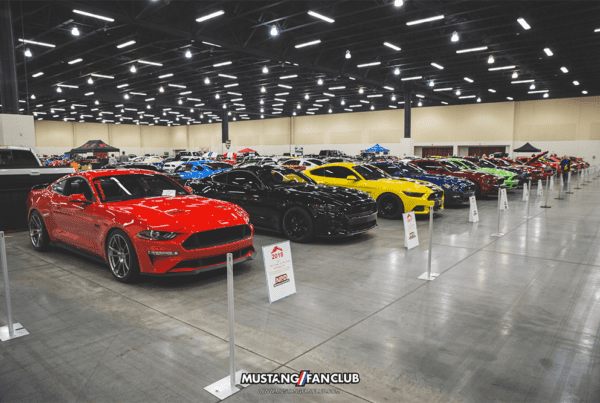 ponies in the smokies 2018