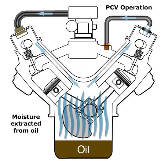 Mustang PCV system