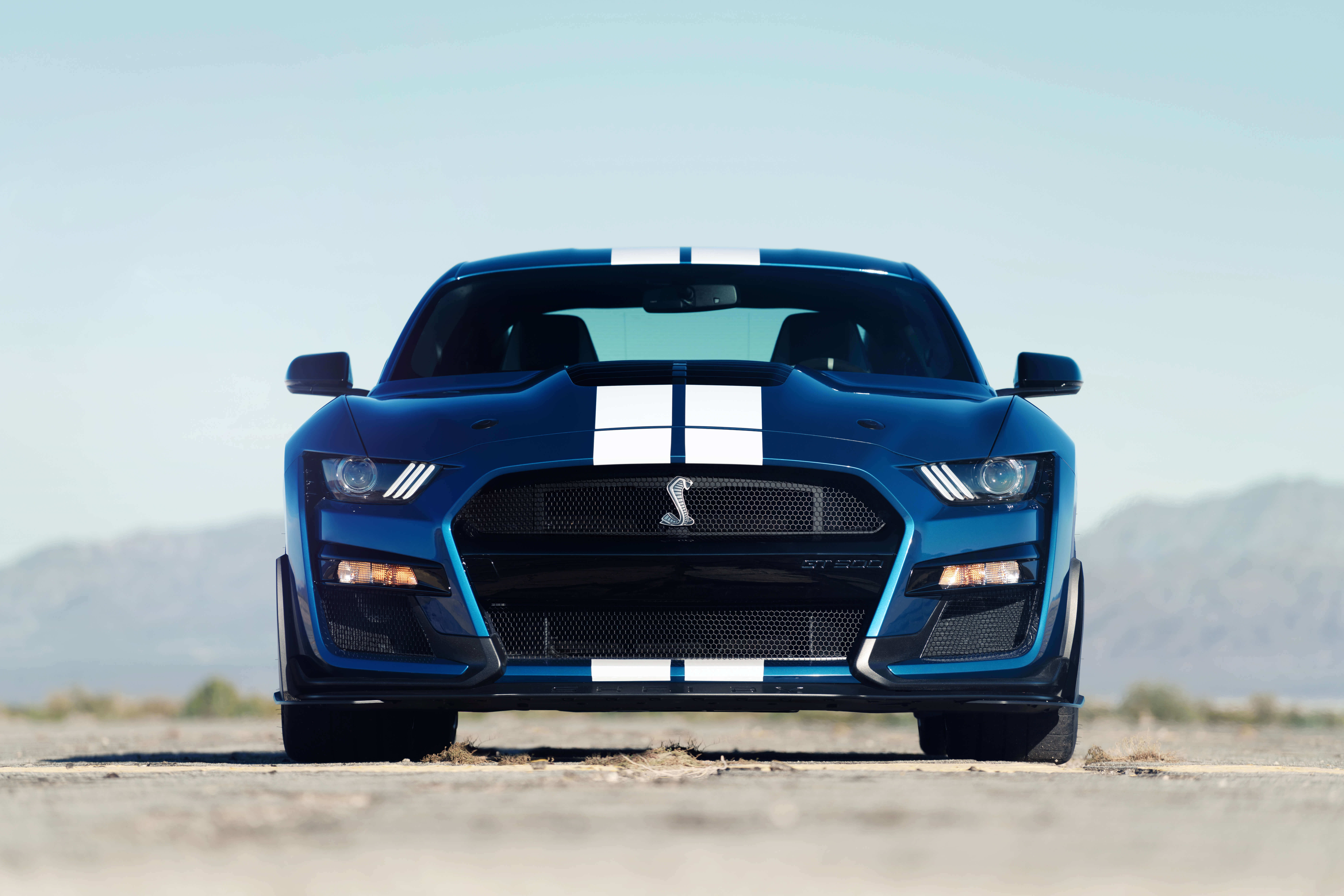 ford performance blue gt500