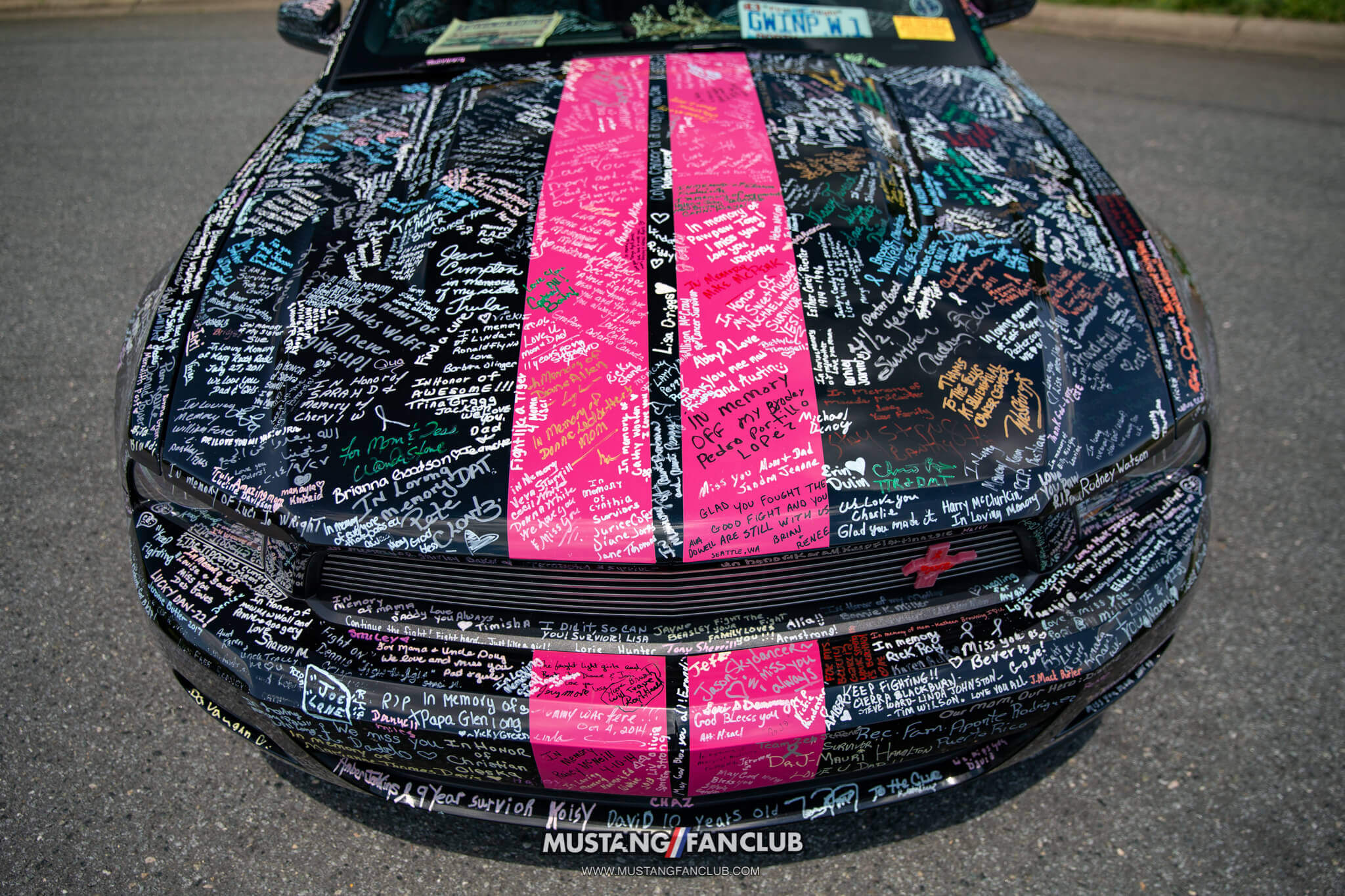 cancer awareness Mustang