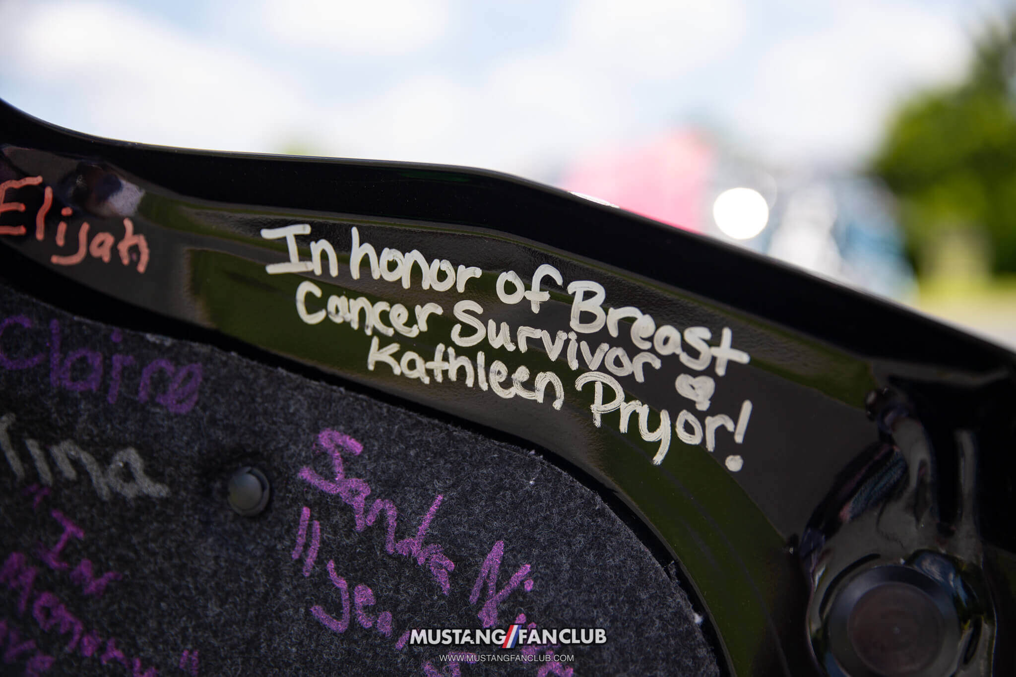 cancer awareness Mustang