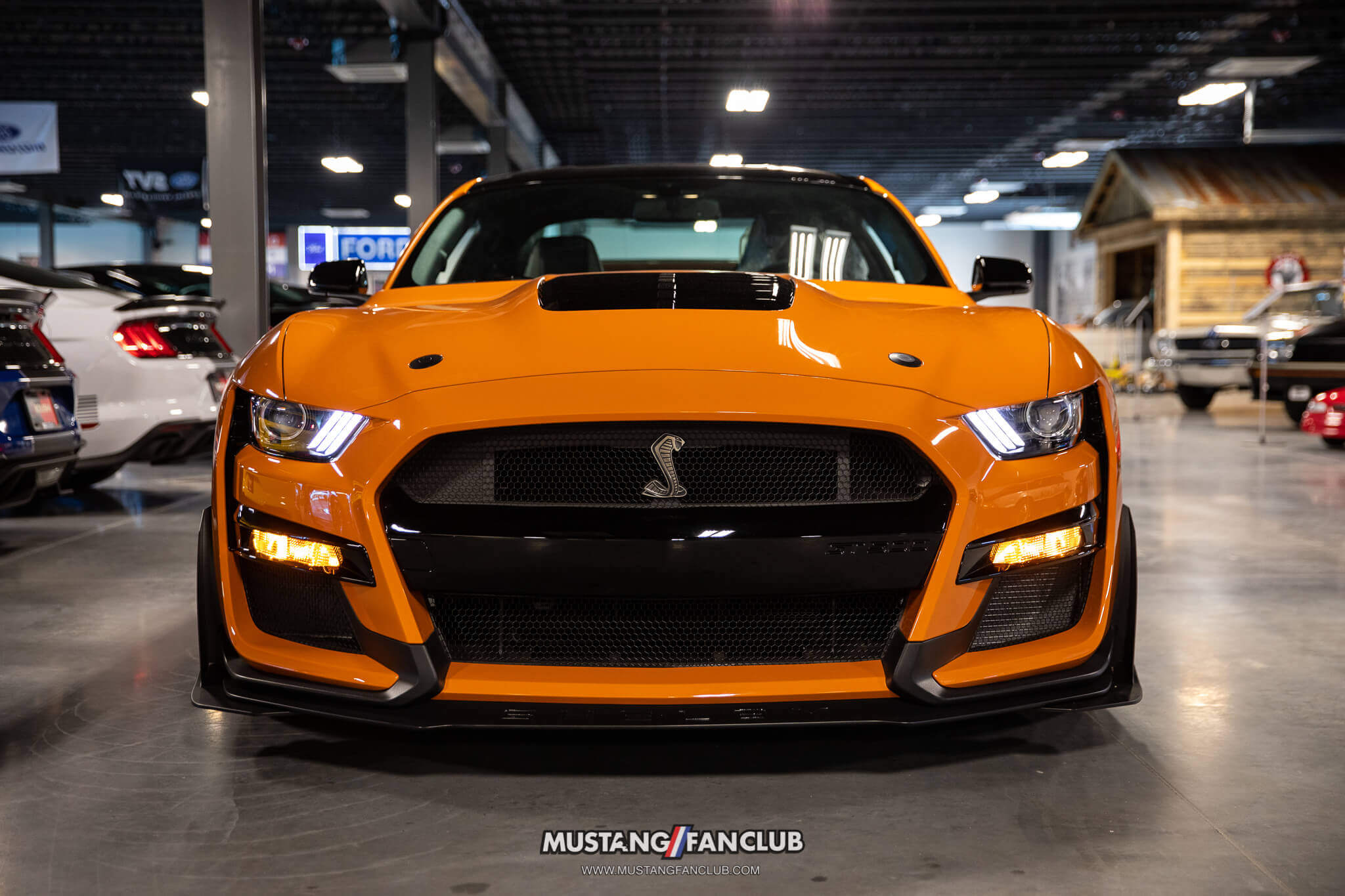 2020 Mustang Color Options