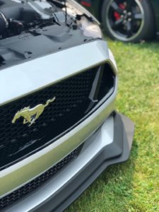 2019 Mustang PP2