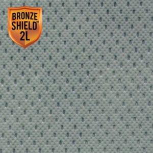 bronze shield