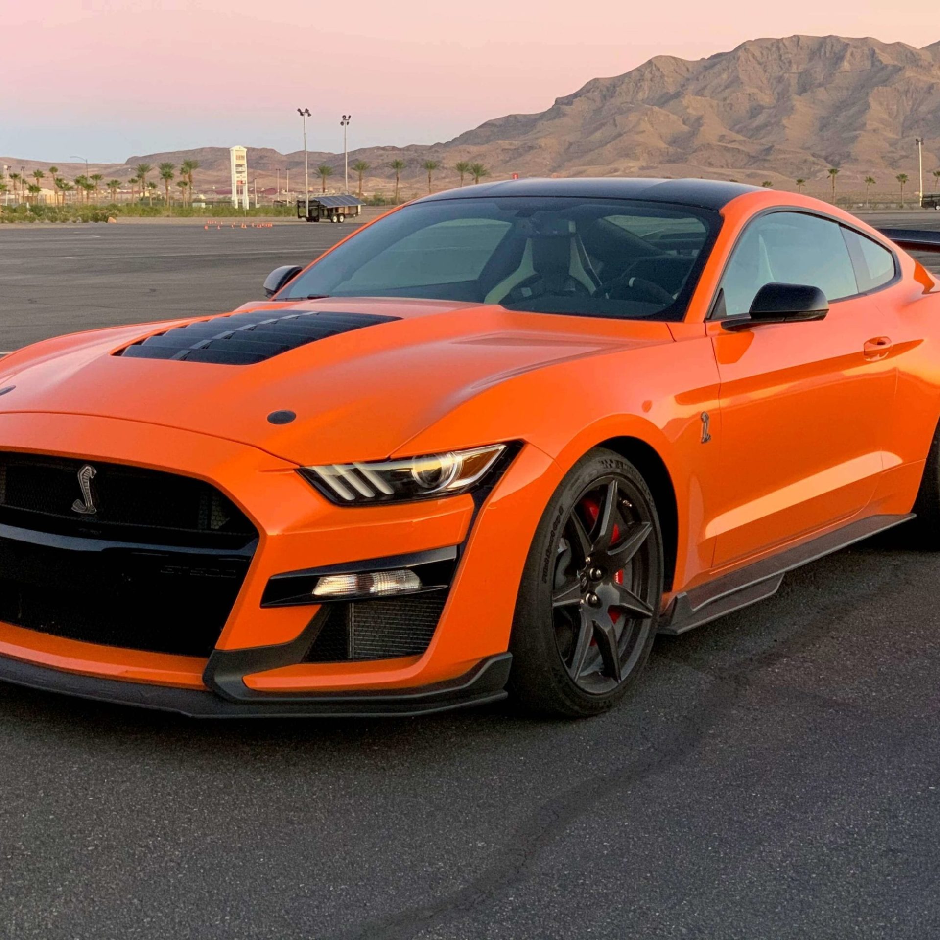 2020 Shelby GT500 Color Options - Mustang Fan Club