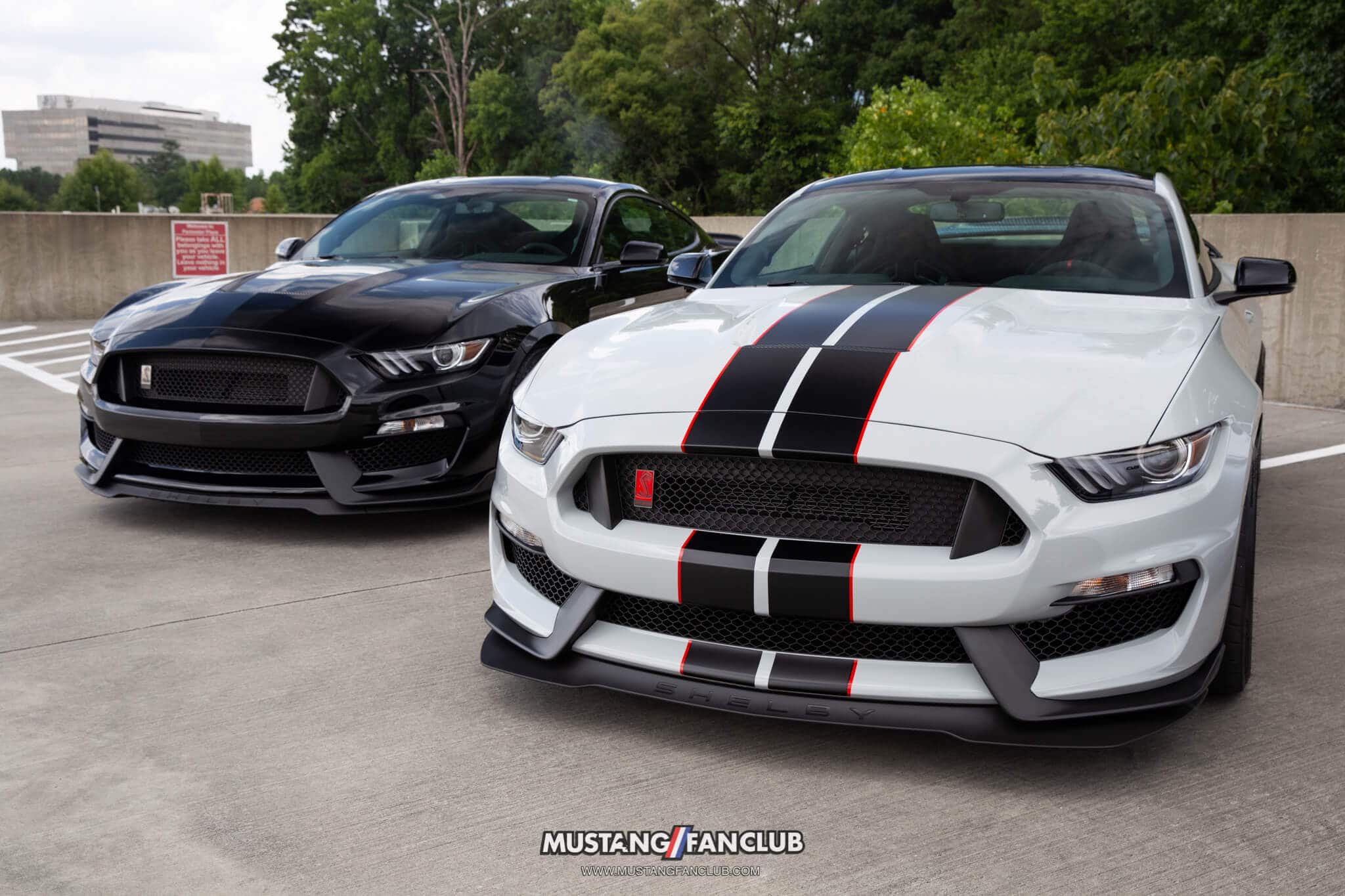 Shelby GT350 55th Anniversary