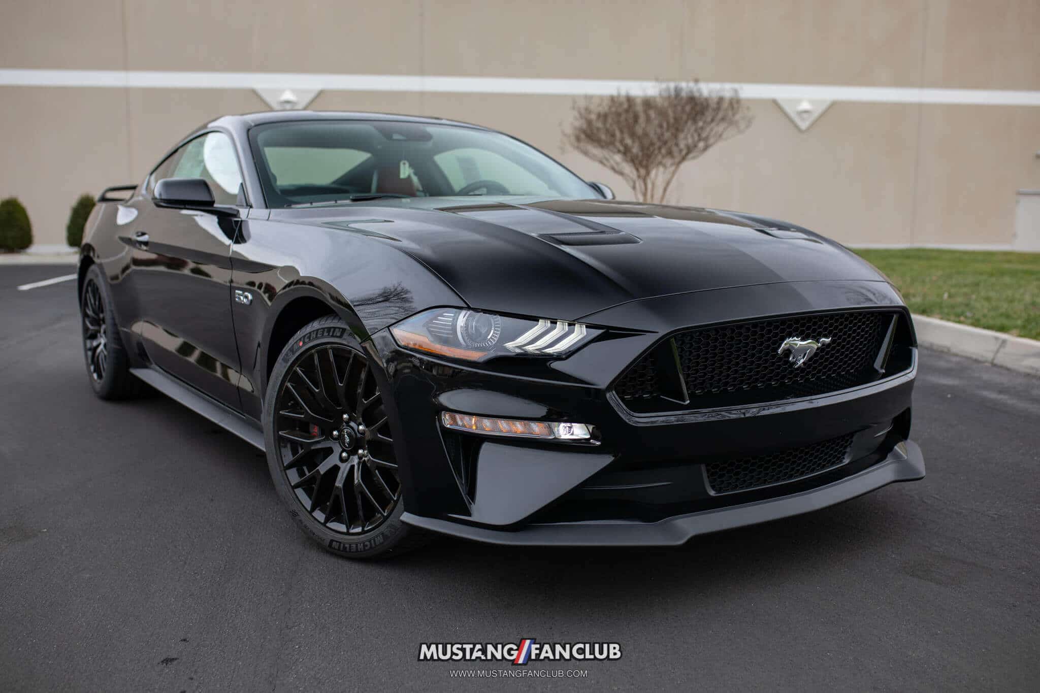 2018 Shadow Black Mustang Color Options