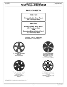 Mach E Wheel Options