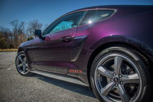 Mischievous Purple Mustang