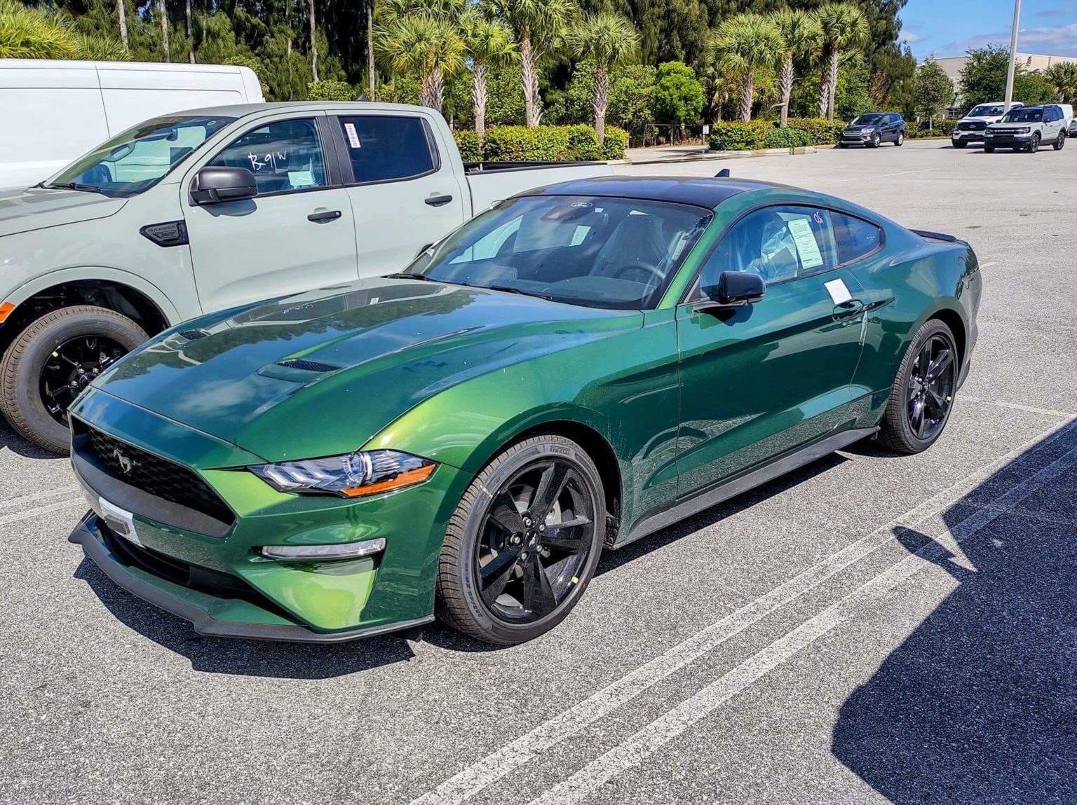 2022 Mustang Exterior Color Options Mustang Fan Club
