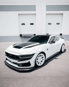 Oxford White Dark Horse