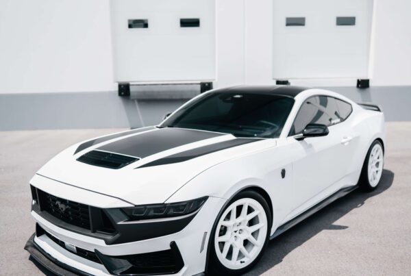 Oxford White Dark Horse